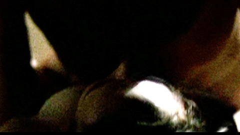 Pic: Elliott Page in Mouth to Mouth