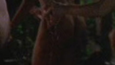 Pic: Karen Holness in Out of Order