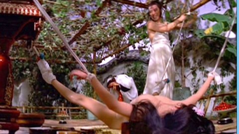 Pic: Ching Hu in The Golden Lotus