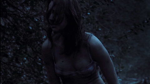 Pic: Arielle Kebbel in Red Mist (2008)