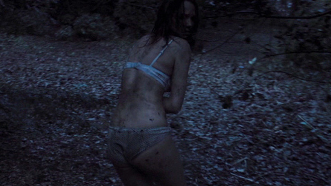 Pic: Arielle Kebbel in Red Mist (2008)