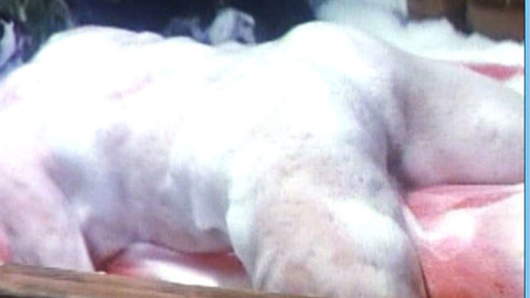 Pic: Moeko Ezawa in A Woman with Red Hair