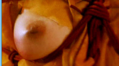Pic: Mai Ching in A Chinese Torture Chamber Story