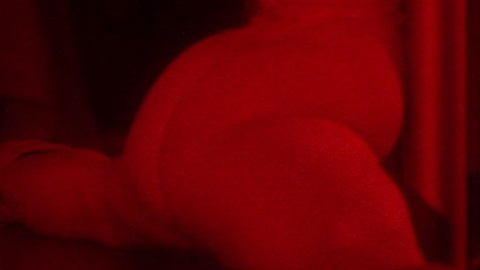 Pic: Tracey Crowder in Stripped to Kill