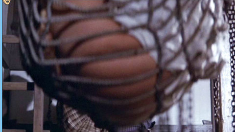Pic: Aoi Nakajima in Hanzo the Razor 3