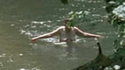Pic: Yolande Moreau in Séraphine