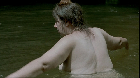 Pic: Yolande Moreau in Séraphine