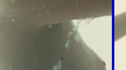 Pic: Mélanie Laurent in Requiem pour une tueuse (2011)