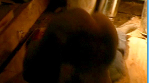 Pic: Stephanie Leighs in The Stink of Flesh