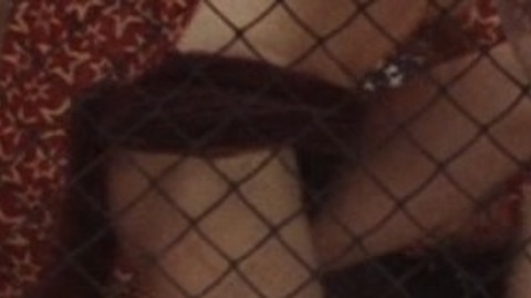 Pic: Dawne Furey in Land of the Dead