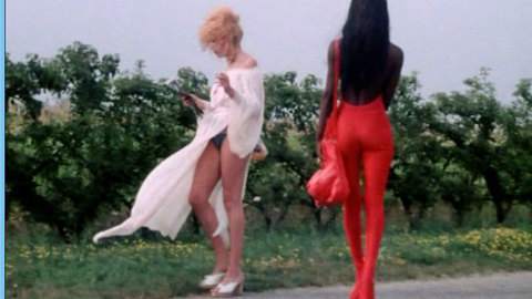Pic: Delia Boccardo in La mazurka del barone, della santa e del fico fiorone