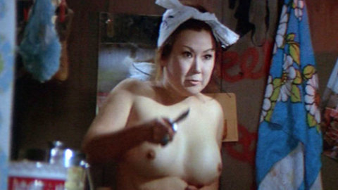 Pic: Yôko Mihara in Zero Woman: Red Handcuffs