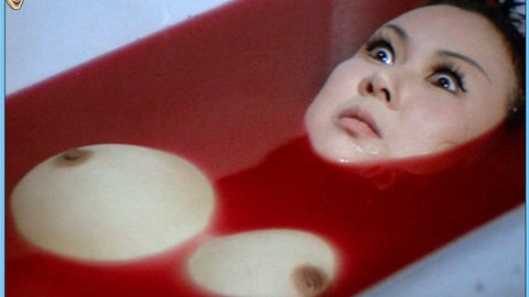 Pic: Yôko Mihara in Zero Woman: Red Handcuffs
