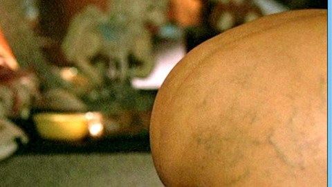 Pic: Bertha Ruiz in Battle in Heaven