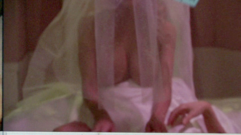 Pic: Stormy Daniels in Finding Bliss