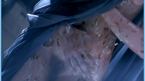Pic: Trae Houlihan in Genesis