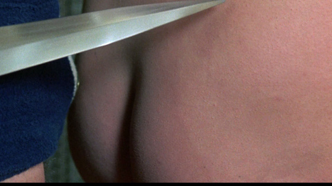 Pic: Mary Tamm in Tales That Witness Madness