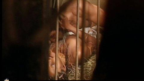 Pic: Joanna Tristão in The Fifth of Hell