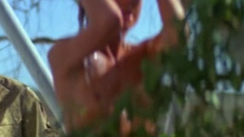 Pic: Arkie Whiteley in Razorback