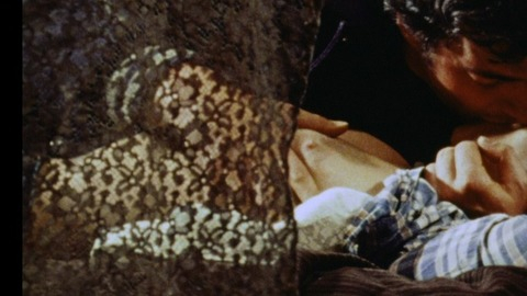Pic: Dessa Stone in Death Bed: The Bed That Eats (1977)