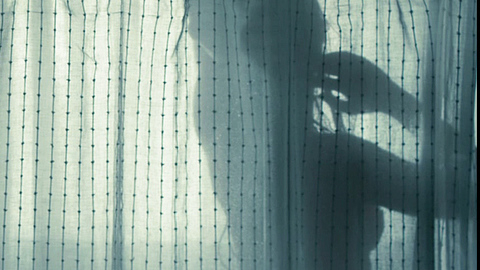 Pic: Amanda Seyfried in Gone