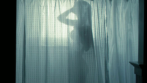 Pic: Amanda Seyfried in Gone