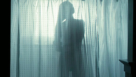 Pic: Amanda Seyfried in Gone
