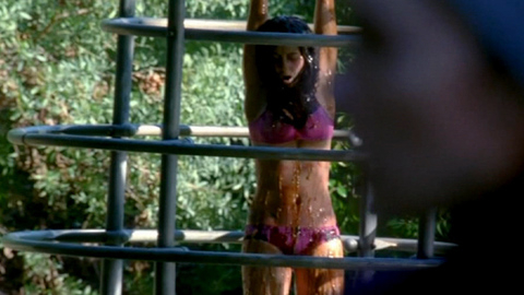 Pic: Vanessa Motta in Castle