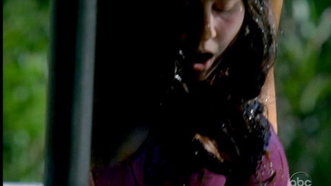 Pic: Vanessa Motta in Castle