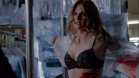Pic: Stana Katic in Castle
