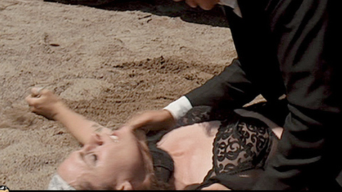 Pic: Stana Katic in The Double