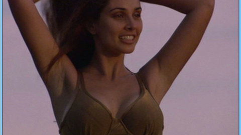 Pic: Lisa Ray in Ball & Chain
