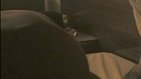 Pic: Lisa Ray in Kill Kill Faster Faster