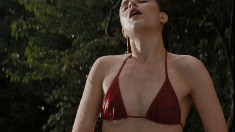 Pic: Evan Rachel Wood in The Life Before Her Eyes