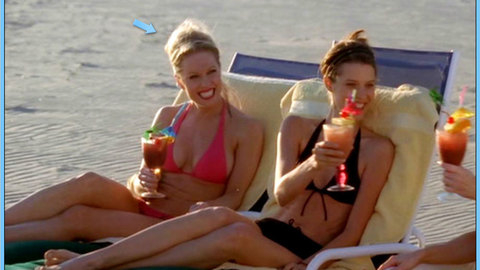 Pic: Diane Klimaszewski in Drop Dead Sexy