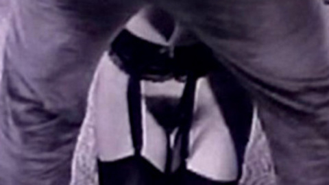 Pic: Starlyn Simone in Video Vixens