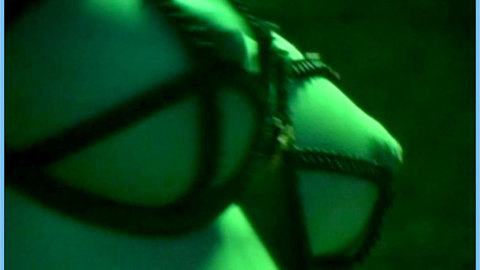 Pic: Masuimi Max in Tales from the Crapper