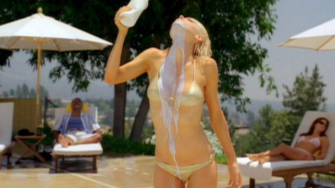 Pic: Sophie Monk in Date Movie