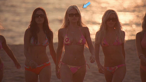 Pic: Sophie Monk in Spring Breakdown