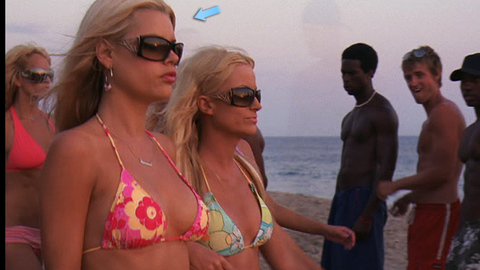 Pic: Sophie Monk in Spring Breakdown