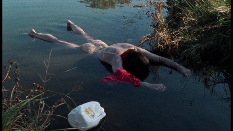 Pic: Mary Demas in Henry: Portrait of a Serial Killer