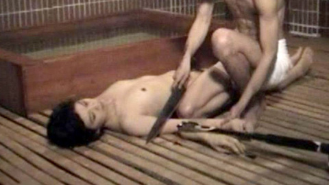 Pic: Kaori Danjou in Blind Beast vs. Killer Dwarf