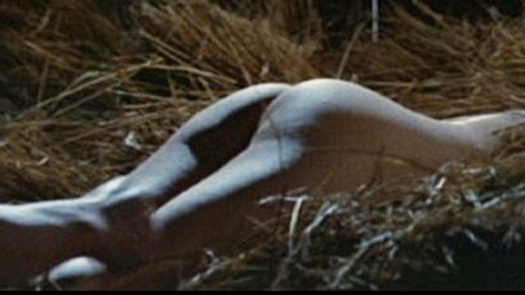 Pic: Naomi Tani in Fairy in a Cage