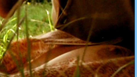 Pic: Jördis Triebel in Emmas Glück