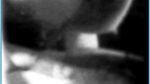 Pic: Claudia Falco in Pulsar