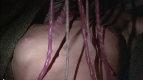 Pic: Angela Punch McGregor in The Island