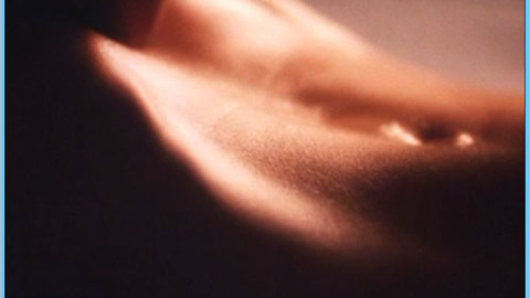 Pic: Helen Lesnick in A Family Affair