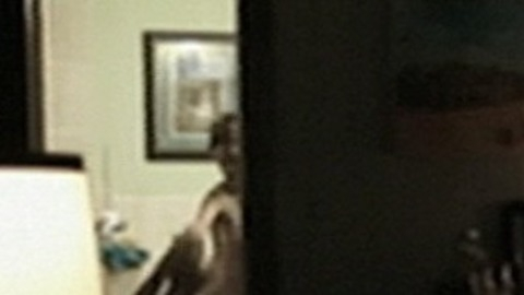 Pic: Allison Miller in Devil's Due