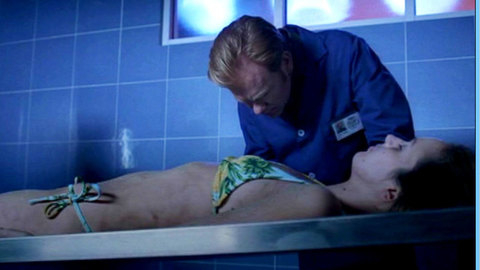Pic: Michelle Morgan in CSI: Miami