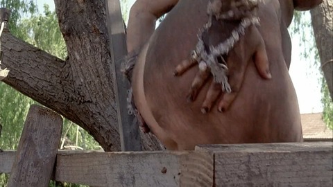 Pic: Geneviève Lemon in Sweetie